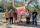 Cegah-Judi-Sambung-Ayam,-Polsek-Kota-Raja-Pasang-Spanduk-Larangan-di-Kelurahan-Airnona.