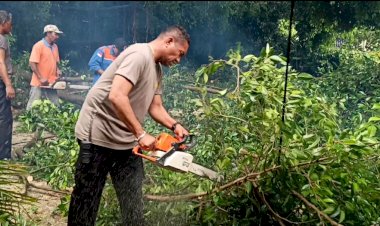 Personel-Polres-Kupang-Kota-Bantu-Evakuasi-Pohon-Tumbang-di-Jalan-Raya