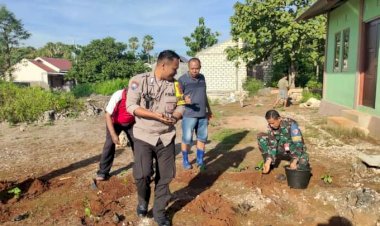 Bhabinkamtibmas-Kelurahan-LIliba-Bersama-Warga-Tanam-1000-Anakan-Cabe