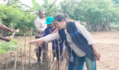 Bantu-Tingkatkan-ekonomi-Masyarakat,-Bhabinkamtibmas-Manutapen-Bagikan-Bibit-Tomat-dan-Lombok-Kepada-warga