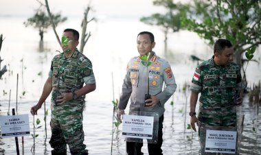 Kapolresta-Kupang-kota-Ikuti-Kegiatan-Penanaman-Mangrove-Nasional