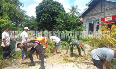 Pohon-Tumbang-di-Nunbaun-Sabu,-Personel-Polresta-Bersama-Tim-Posko-Siaga-Bencana-Lakukan-Pembersihan-di-Lokasi