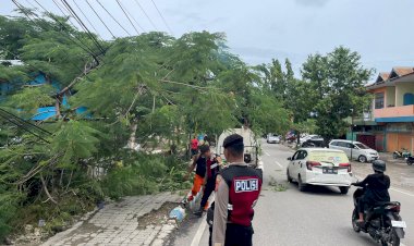 Satuan-Samapta-dan-BPBD-Kota-Kupang-Tangani-Pohon-Tumbang-di-Depan-Ruko-Oebobo.