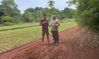 Bhabinkamtibmas-Fatukoa-Berikan-Dukungan-dalam-Peningkatan-Produksi-Pangan-Warga