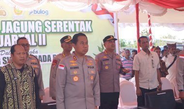 Hasilkan-Total-66,7-Ton,-Kapolresta-Kupang-Kota-Hadir-Dalam-Panen-Raya-Jagung-di-Baumata-Utara.
