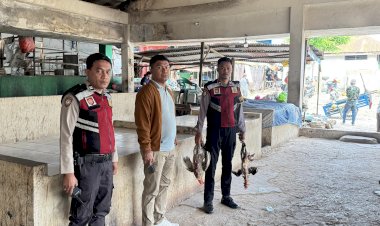 Polsek-Koja-dan-Samapta-Polresta,-Kembali-Gerebek-Lokasi-Judi-Sabung-Ayam-di-Pasar-Oebobo.