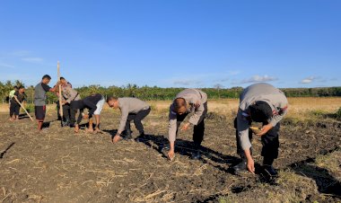 Polresta-Kupang-Kota-Tanam-Jagung-Serentak-Kuartal-III,-Dukung-Ketahanan-Pangan-Nasional.