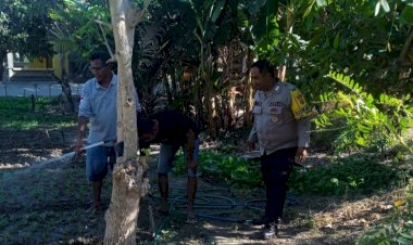 Peduli-Kesejahteraan-Warga,-Bhabinkamtibmas-Sikumana-Sediakan-Lahan-dan-Bibit-untuk-Pertanian.