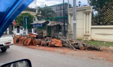 Bhabinkamtibmas-Nunleu-Gerak-Cepat!-Puing-Pohon-Tumbang-di-Jalan-Alfons-Nisnoni-Segera-Dibersihkan