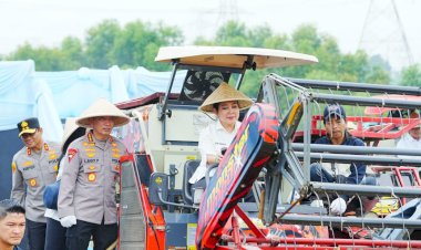 Kapolri-Ketua-Komisi-IV-Pimpin-Panen-Raya-Jagung-Serentak,-Wujud-Nyata-Dukung-Ketahanan-Pangan-Nasional.