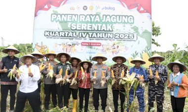 Kapolda-NTT-Pimpin-Panen-Raya-Jagung-Kuartal-IV-2025,-Perkuat-NTT-sebagai-Lumbung-Jagung-Nasional.