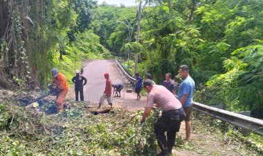 Hadir-di-Tengah-Masyarakat,-Bhabinkamtibmas-Airnona-Ikut-Gotong-Royong-Tangani-Pohon-Tumbang.