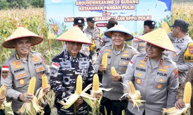 Di-Tengah-Hujan,-Kapolda-NTT-Pimpin-Semangat-Ketahanan-Pangan-Lewat-Panen-Raya-Jagung-2026.