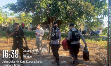 Gerebek-Judi-Sabung-Ayam-di-Fatukoa,-Sat-Samapta-Polresta-Kupang-Kota-Amankan-Sejumlah-Barang-Bukti.