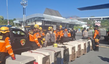 Misi-Kemanusiaan-Gempa-Flores,-Personel-Mabes-Polri-dan-10-K-9-Tiba-di-Ngada.