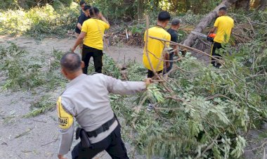 Gerak-Cepat-Bhabinkamtibmas-Fontein-Evakuasi-Pohon-Tumbang,-Pastikan-Jalan-Kembali-Aman