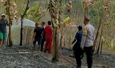 Cepat-Tanggap!-Polsek-Maulafa-dan-Damkar-Kota-Kupang-Padamkan-Kebakaran-Lahan-di-Kolhua.