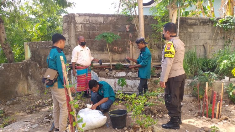 Bhabinkamtibmas Fatufeto Bersama Mahasiwa Lakukan Penanaman Bibit Kelor