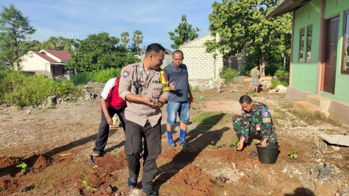 Bhabinkamtibmas Kelurahan LIliba Bersama Warga Tanam 1000 Anakan Cabe