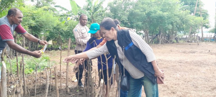 Bantu Tingkatkan ekonomi Masyarakat, Bhabinkamtibmas Manutapen Bagikan Bibit Tomat dan Lombok Kepada warga