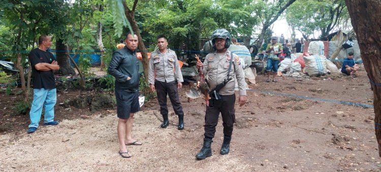 Dapat Informasi Aktivitas Judi Sabung Ayam, Kapolsek Kelapa Lima Pimpin Penggrebekan
