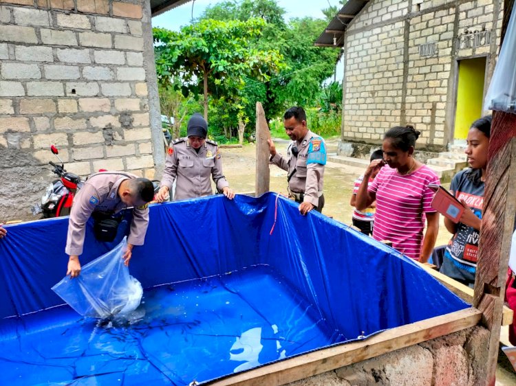 Kapolresta Kupang Kota Melalui Seluruh personel Bhabinkamtibmas Laksanakan Program Pembagian Bibit Lele Bantu Ketahanan Pangan Masyarakat Kota Kupang