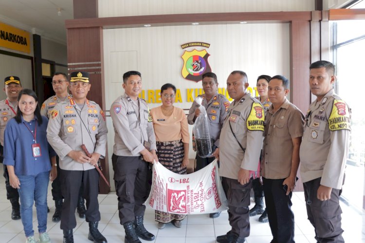 Penyerahan Bibit Ikan Lele dari Pemkot Kupang, Kapolresta: Kami Bantu Peningkatan Ekonomi Masyarakat Kecil dan Pencegahan Stunting di Kota Kupang.