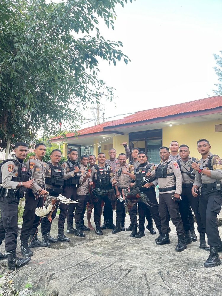 Respon Cepat Informasi Masyarakat, Anggota Sat Samapta Bubarkan Aktivitas Judi Sabung Ayam di Pasar Oebobo.