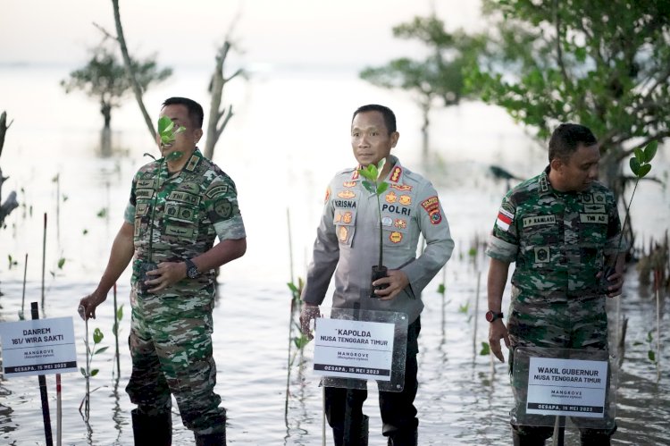 Kapolresta Kupang kota Ikuti Kegiatan Penanaman Mangrove Nasional