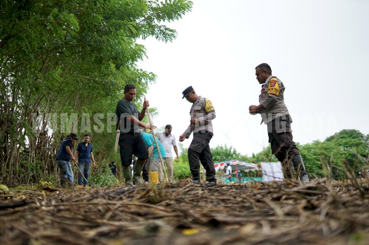 Wujudkan Ketahanan Pangan, Kapolresta Aldinan Manurung Bersama Pemkot Kupang Tanam Jagung di Naioni