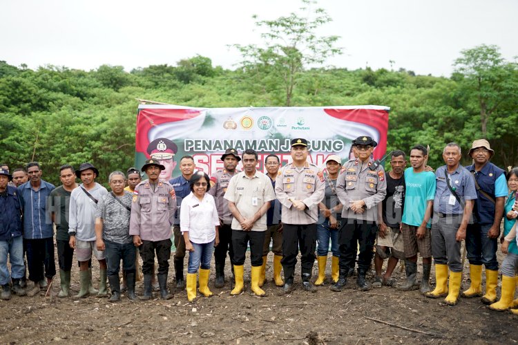 Wujudkan Ketahanan Pangan, Kapolresta Aldinan Manurung Bersama Pemkot Kupang Tanam Jagung di Naioni