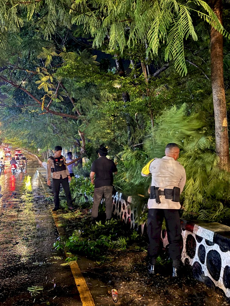 Gercep Piket SPKT Amankan Pohon Tumbang Depan Kantor Golkar Dan Arus Lalulintas Kembali Normal