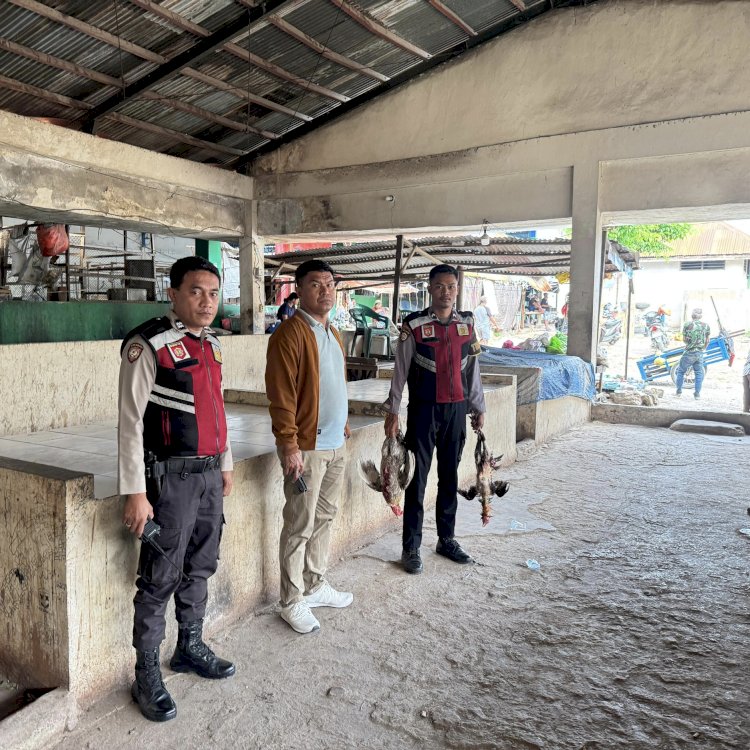 Polsek Koja dan Samapta Polresta, Kembali Gerebek Lokasi Judi Sabung Ayam di Pasar Oebobo.