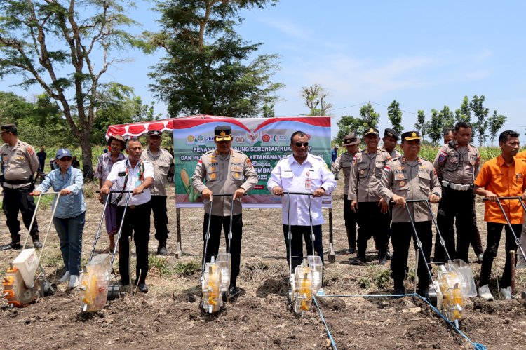Polresta Kupang Kota Dukung Swasembada Pangan Nasional Lewat Penanaman Jagung Serentak Kuartal IV