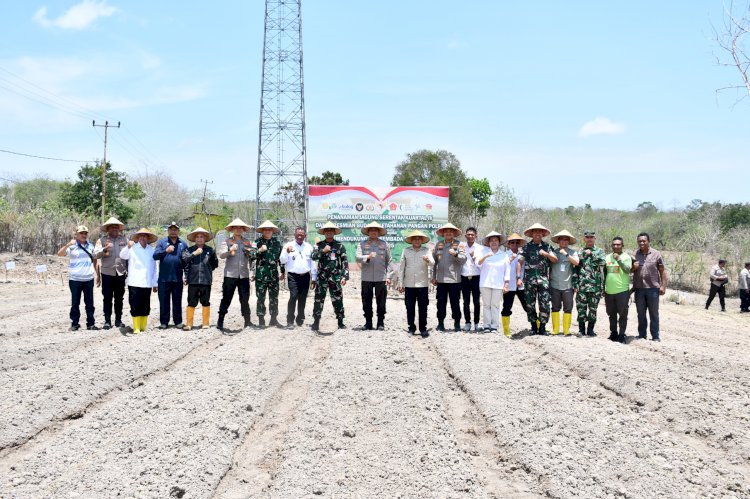 Dari Timur, Harapan untuk Semua: Kapolda NTT Pimpin Penanaman Jagung Serentak Menuju Lumbung Pangan Nasional