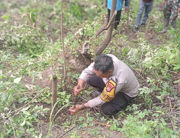 Bhabinkamtibmas Liliba Ikut Gotong Royong, Siapkan 350 Lubang untuk Penanaman Pohon di Bantaran Kali.