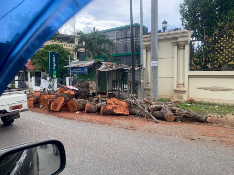 Bhabinkamtibmas Nunleu Gerak Cepat! Puing Pohon Tumbang di Jalan Alfons Nisnoni Segera Dibersihkan