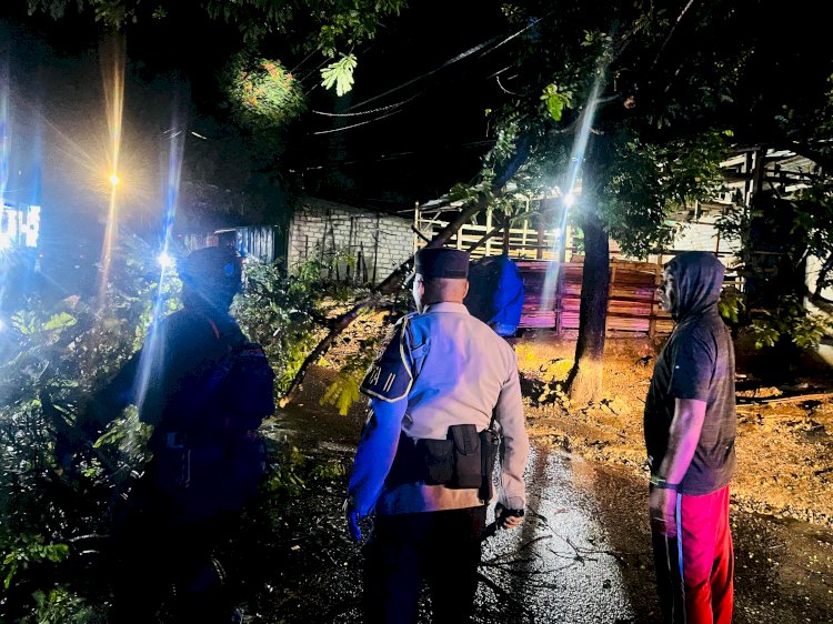 Respons Cepat Polresta Kupang Kota Tangani Pohon Tumbang Saat Patroli Malam