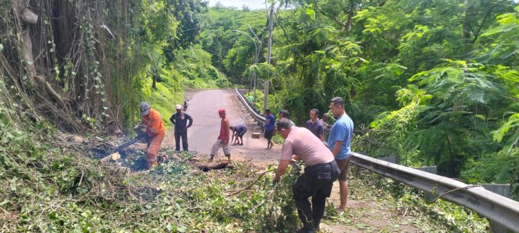 Hadir di Tengah Masyarakat, Bhabinkamtibmas Airnona Ikut Gotong Royong Tangani Pohon Tumbang.