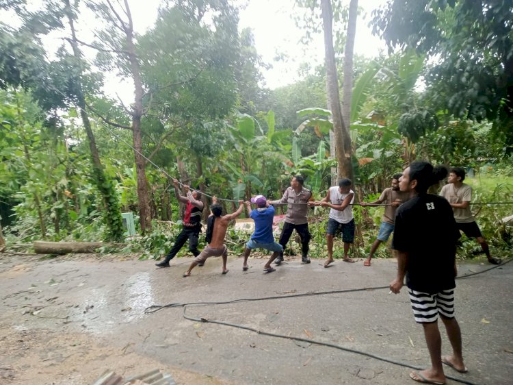 Bhabinkamtibmas Bakunase Bantu Evakuasi Pohon Tumbang Yang Menimpa Rumah Warga