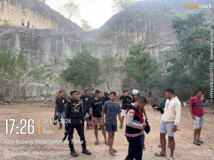 Gerebek Arena Judi Sabung Ayam di Lasiana, Personel Gabungan Polresta Kupang Kota Amankan Barang Bukti.