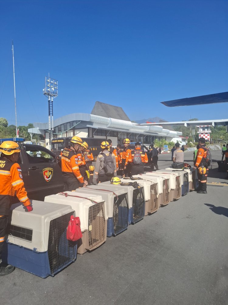 Misi Kemanusiaan Gempa Flores, Personel Mabes Polri dan 10 K-9 Tiba di Ngada.