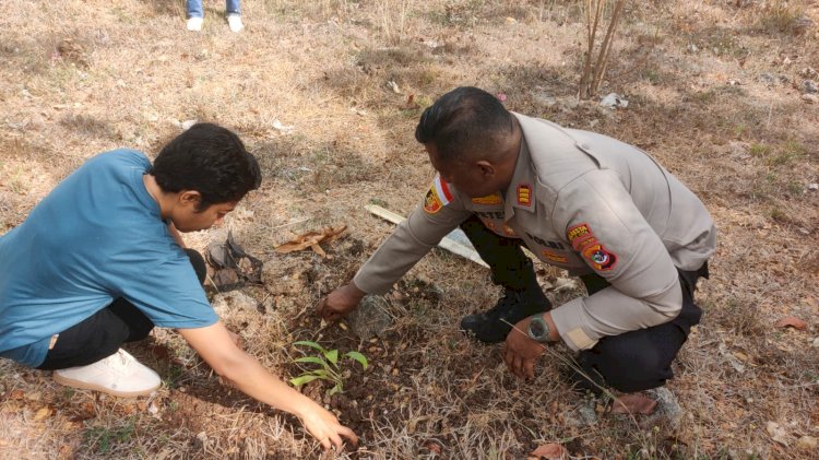 Polsek Maulafa Gelar Green Policing, Tanam Anakan Merbau dan Ketapang Kencana di Median Jalur 40 Kolhua.
