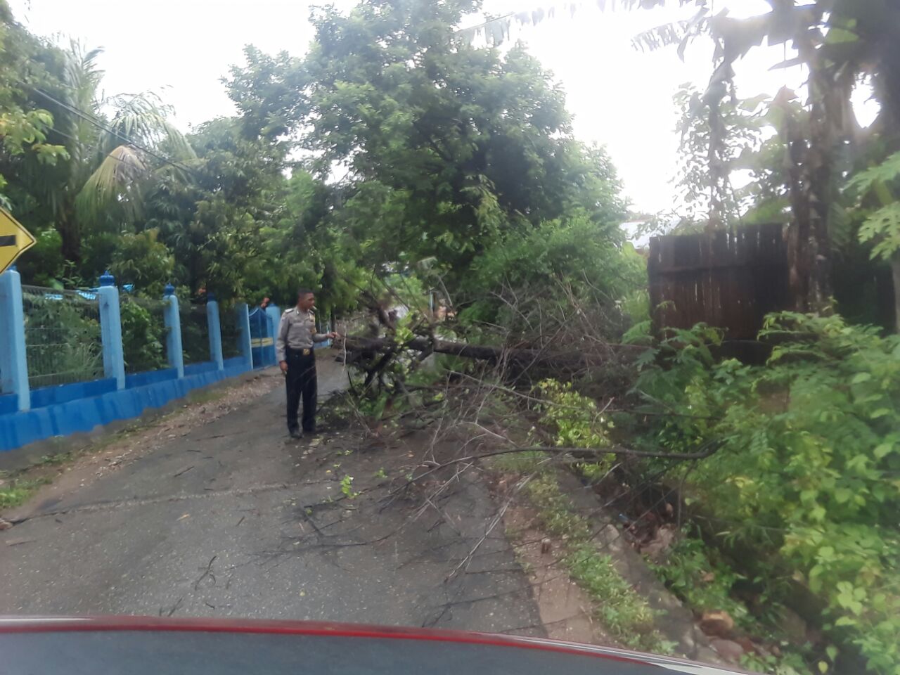 Bhabinkamtibmas Kelurahan Bakunase II Singkirkan Dahan Pohon Tumbang Yang Menghalangi Jalan.