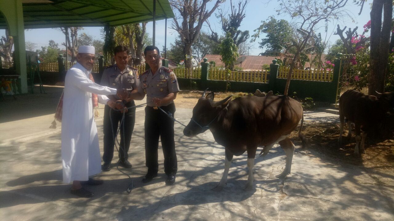 Kapolres Kupang Kota Serahkan Hewan Kurban.