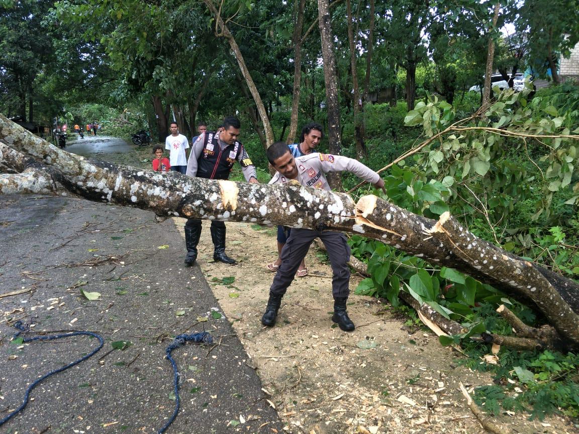 Personil Polres Kupang Kota Bantu Warga Evakuasi Pohon Tumbang