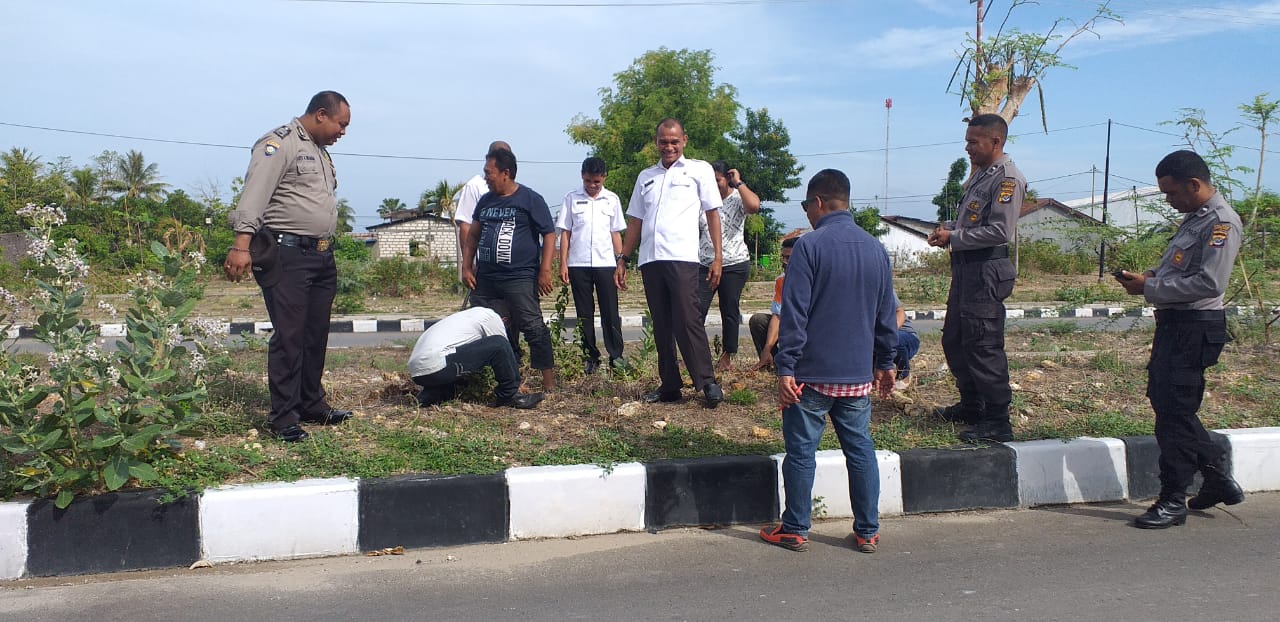 Buat Lingkungan Asri, Bhabinkamtibmas Bersama Lurah Kolhua Tanam Pohon